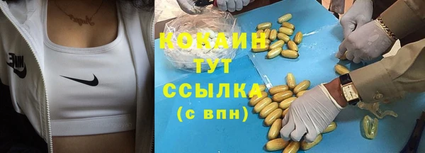 тгк Ладушкин