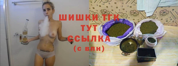 соль ск Абаза